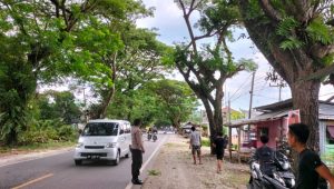 Pantau Kegiatan Masyarakat, Bhabinkamtibmas Sambangi Warga yang Memangkas Ranting Pohon