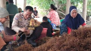 Dukung Program Pemerintah, Bhabinkamtibmas Sambangi Petani Rumput Laut