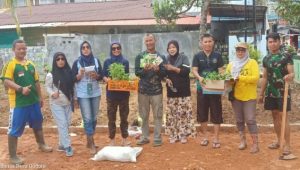 Terima Bibit Dari Dinas Pertanian, Seksi Pembenahan Lahan Kantor Persit , Langsung Mengolah Lahan