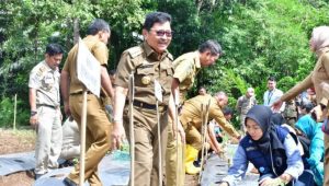 Wujud Penanggulangan Inflasi, Walikota Palopo Lakukan Penanaman dan Pemberian Bibit Siap Tanam