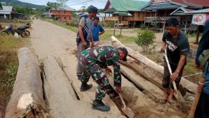 Tanamkan Rasa Kebersamaan, Babinsa dan Masyarakat Gotong Royong Rehab Jembatan