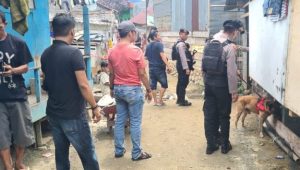 Ops Antik Lipu 2023 Berakhir, 17 Orang Berhasil Diringkus Polres Palopo