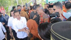 Bupati Luwu Hadiri Peresmian Taman Kehati Sawerigading Wallacea Milik PT Vale Indonesia