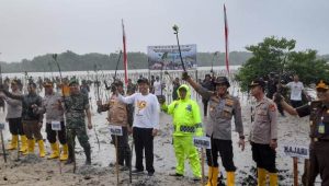 Penanam Pohon Mangrove Oleh TNI, Dihadiri Langsung Presiden Jokowi, Dandim 1403 Palopo : Ini Merupakan Wujud Pelestarian Alam