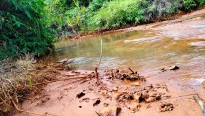 Sungai Malili Tercemar, Ketua Umum LBH Cinta Lingkungan Angkat Bicara