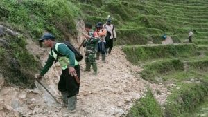 Permudah Angkut Hasil Pertanian, Babinsa Koramil Limbong Gotong Royong Buat Jalan
