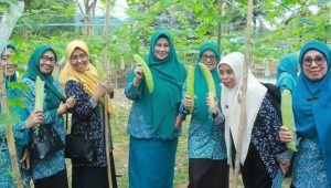 Hj. Hayarna Basmin Sambut Kunjungan Tim SMEP PKK Provinsi