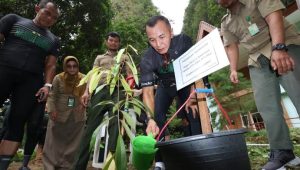 Lestarian Alam, Pangdam Bersama Wakil Ketua Komisi I DPR RI Lakukan Penanaman Pohon