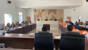 Hadiri Rapat Banggar DPRD Palopo, Cendrana Usulkan Biaya Belanja Pegawai Dirampingkan