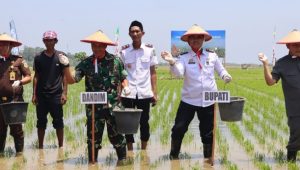 Melalui Vicon, Dandim 1403 Palopo Ikuti Peresmian Gerakan Nasional Ketahanan Pangan