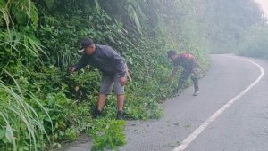 Peduli Lingkungan, Babinsa Koramil Limbong Gotong Royong Bersihkan Jalan Poros Komba