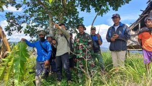 Babinsa Koramil Limbong Hadiri Kunjungan Tim ATR/BPN di Eks HGU Pt.Seko Fajar Plantation