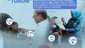 Angka Stunting di Kota Palopo Menurun, Kepala DPP dan KB : Aplikasi Inzting Buatan Pemprov Sulsel