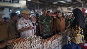 Hari Kedua Berkantor, Pj Bupati Luwu Pantau Harga Bahan Pokok Di Pasar Rakyat Bajo