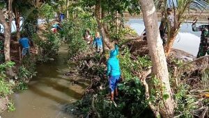 Wujud Kepedulian Terhadap Ketahanan Pangan, Babinsa Koramil Bone-Bone Bersihkan Saluran Air Persawahan