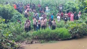 Warga  Salubattang Diterkam Buaya Saat Mandi di Sungai, Kapolres Palopo Lakukan Pencarian