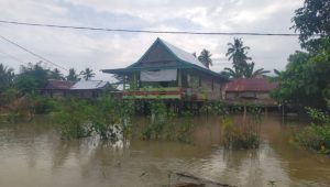 Diduga Tanggul Sungai Rongkong Jebol, Tiga Desa di Kecamatan Baebunta Terendam Banjir