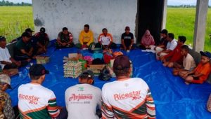 Tentukan Jadwal Tanam Padi, Babinsa Koramil Bone-bone Hadiri Tudang Sipulung