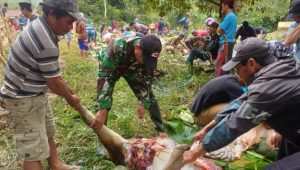 Hari Raya Idul Adha, Babinsa Koramil Limbong Bantu Warga Sembelih Hewan Kurban