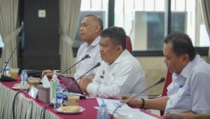 Evaluasi Triwulan Pertama, Itjen Kemendagri Apresiasi Kinerja Pj Bupati Luwu Penanganan Inflasi