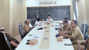 Pansus I DPRD Palopo Bahas Ranperda Penataan OPD
