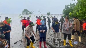 Peringati Hari Lingkungan Hidup Sedunia, Wakapolres Palopo Ikut Tanam Pohon Mangrove