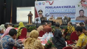 Percepatan Penurunan Stunting, Pj Bupati Luwu Muh Saleh Paparkan 4 Inovasi dan 8 Aksi