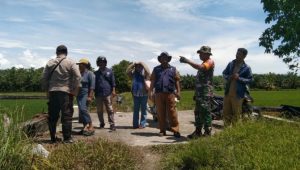 Babinsa Koramil Bone-Bone Tinjau Lahan Beralih Fungsi untuk Ketahanan Pangan