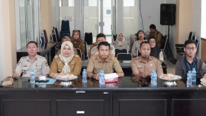 Pemkot Palopo Ikut Rakor Pengendalian Inflasi