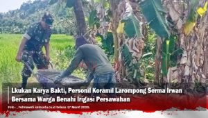 Lakukan Karya Bakti, Personil Koramil Larompong Serma Irwan Bersama Warga Benahi Irigasi Persawahan