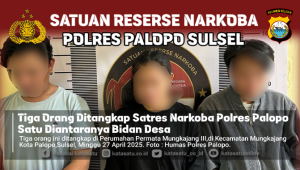 Tiga Orang Ditangkap Satres Narkoba Polres Palopo, Satu Diantaranya Bidan Desa