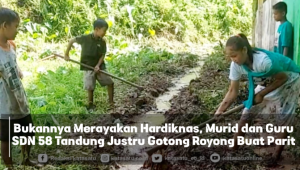 Bukannya Merayakan Hardiknas, Murid dan Guru SDN 58 Tandung Justru Gotong Royong Buat Parit