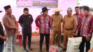 Tinjau Lokasi dan Panen Ikan Bandeng, Bupati Kolaka Dorong Ketahanan Pangan Sektor Perikanan