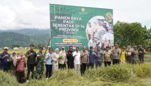 Palopo Ikut Sukseskan Panen Raya Padi Serentak Bersama Presiden Prabowo