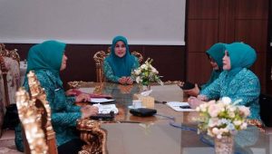 TP PKK Palopo Ikuti Penyamaan Persepsi Se-Sulsel Via Zoom