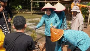 TP PKK Kota Palopo Gelar Aksi Tanam Pohon di Rumah Dilan