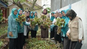 TP PKK Luwu Panen Perdana Sayur Bayam, Dorong Pemanfaatan Pekarangan untuk Ketahanan Pangan