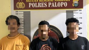 Amankan Tiga Penyalahgunaan Narkoba, Polres Palopo Akan Telusuri Hingga Kedalam Lapas