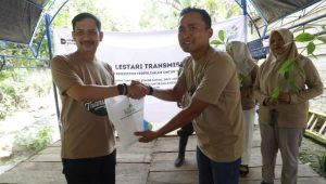 Pj Wali Kota Palopo Terima 2.000 Bibit Pohon dari PLN