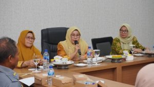 Ketua TP PKK Luwu Ikuti Sosialisasi Implementasi Posyandu Era Baru