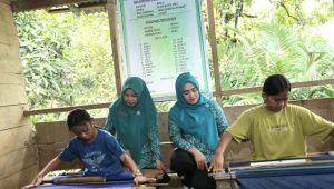 Ketua Dekranasda Luwu Serahkan Bantuan Kelompok Tani Kole Mandiri di Walenrang Barat