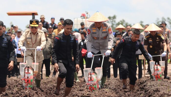 Polda Kalteng Genjot Produksi Jagung, Target 136 Hektar Lahan Tanam di Kuartal IV 2025