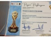 Raih Prestasi Tingkat Nasional, TPAKD Bone Terima Award Terbaik 2025