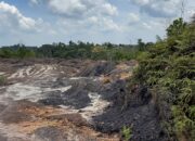 Tambang batubara ilegal di kawasan penyanggah IKN, Kalimantan Timur (foto: OIKN)