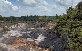 Tambang batubara ilegal di kawasan penyanggah IKN, Kalimantan Timur (foto: OIKN)